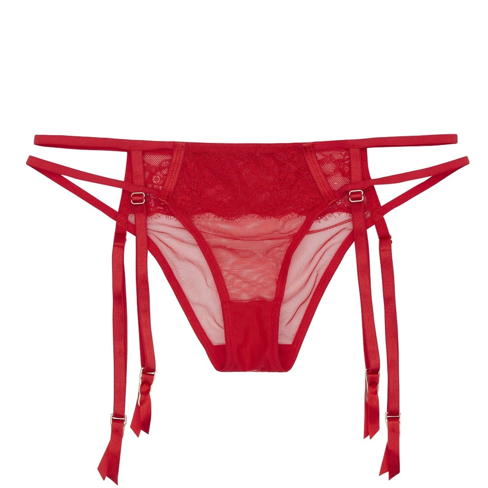 Cara Red lace garter belt panties underwear